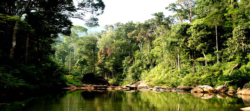 galle_taxi_sinharaha